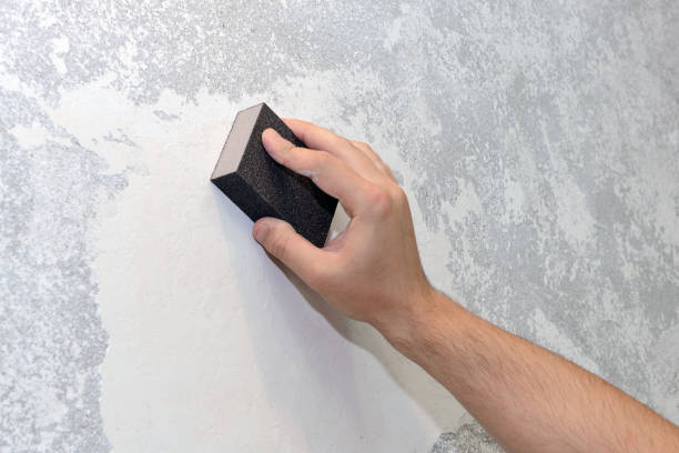 Best Environmental Consulting for Mold Prevention  in Monte Vista, CO