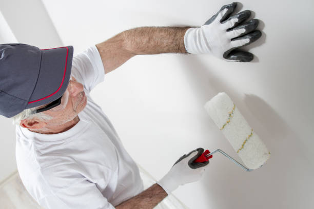 Best Emergency Mold Remediation  in Monte Vista, CO