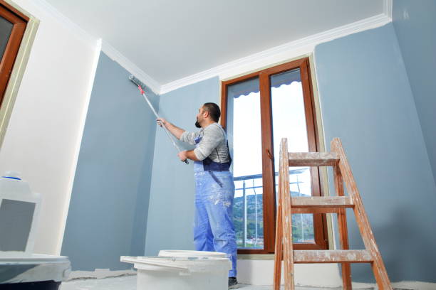 Best HVAC Mold Inspection and Cleaning  in Monte Vista, CO