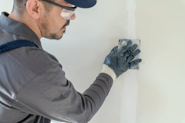 Best Environmental Consulting for Mold Prevention  in Monte Vista, CO