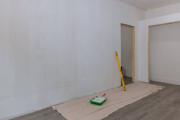 Best Mold Documentation for Insurance Claims  in Monte Vista, CO