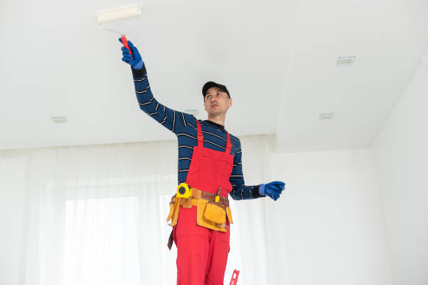 Best Commercial Mold Inspection  in Monte Vista, CO